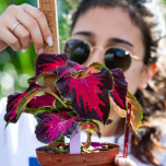 Undergraduate Programs