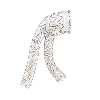 GORE® EXCLUDER® Conformable AAA Endoprosthesis with ACTIVE CONTROL System