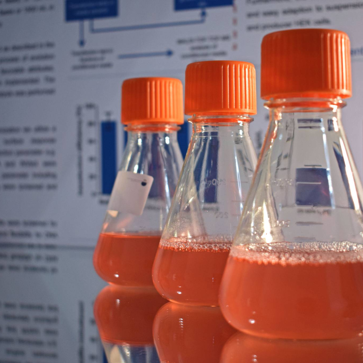Recombinant Protein Expression