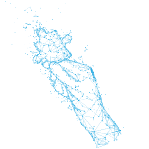 CASE STUDY: COVID 19 Policies Review