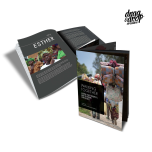 Drag & Drop Creative