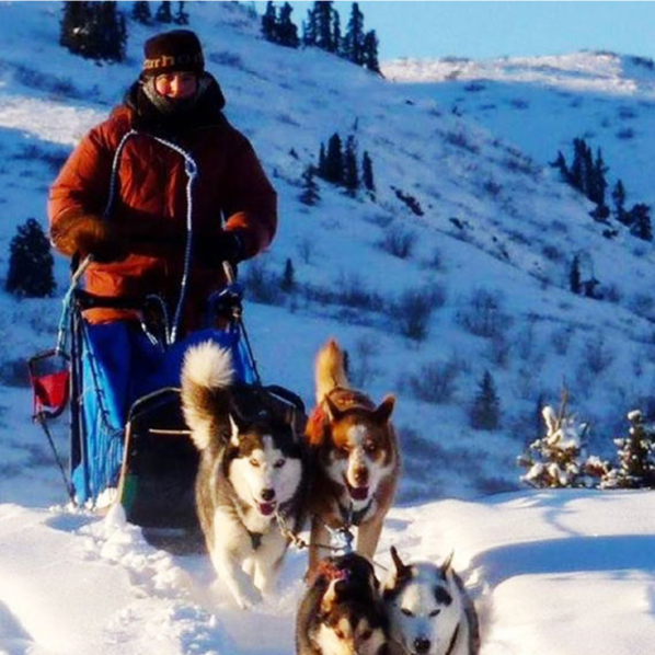 The call of the far north (1x52') - Completed