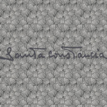 5370 Fluity-(CO2)® A.O.P