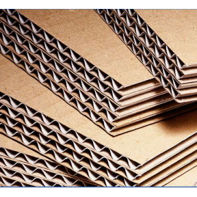 Ficus Pax AAA cartons