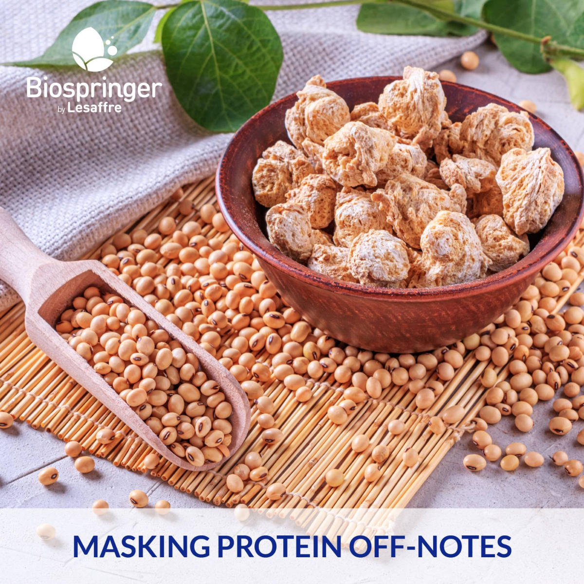 Springer® Mask 202 Yeast Extract | Biospringer