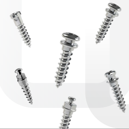 Dual Top Anchor System