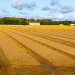 Arceaux fibres gainés