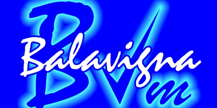 Balavigna Weaving Mills Private Limited