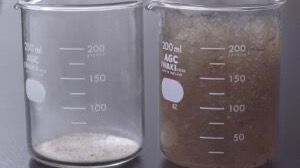 SIVAL Innovation 2024 : EF Polymer