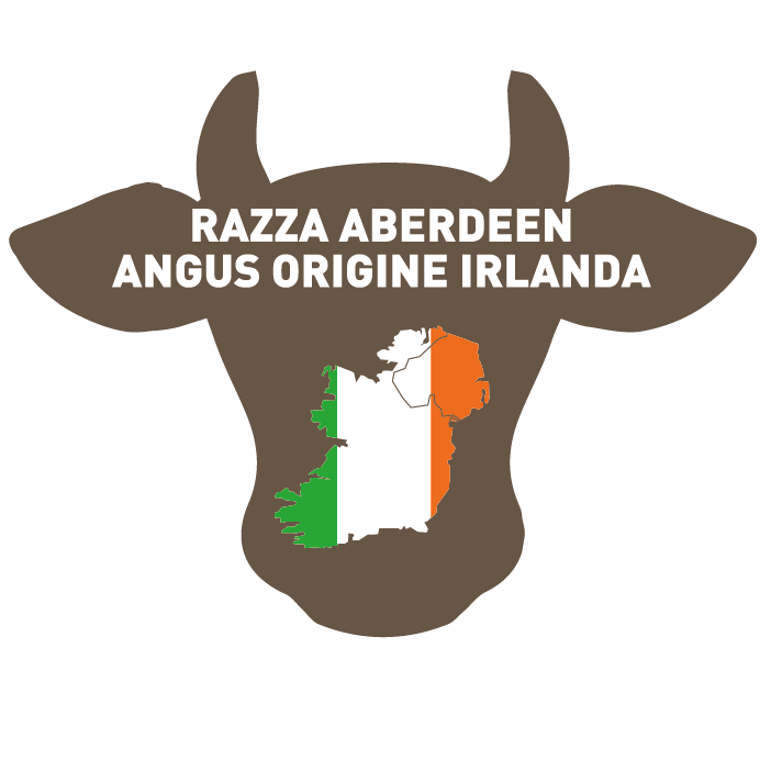 HAMBURGER OF IRISH ABERDEEN ANGUS BREED