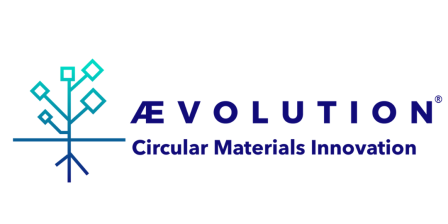 ÆVOLUTION MATEUSZ WIELOPOLSKI CONSULTING