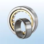 Cylindrical Roller Bearings