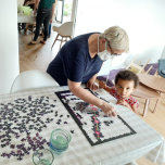 Stratégie d'accompagnement de la transition démographique