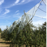 FILET ANTIGRÊLE -CYLHAIL