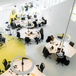 Bspoke, Eye-catching Compositions