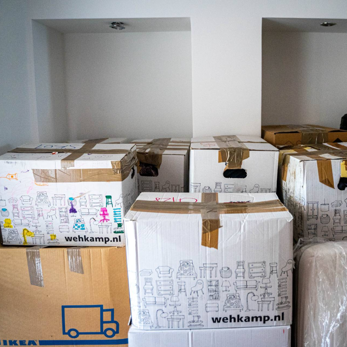 Désencombrement/Adaptation au logement