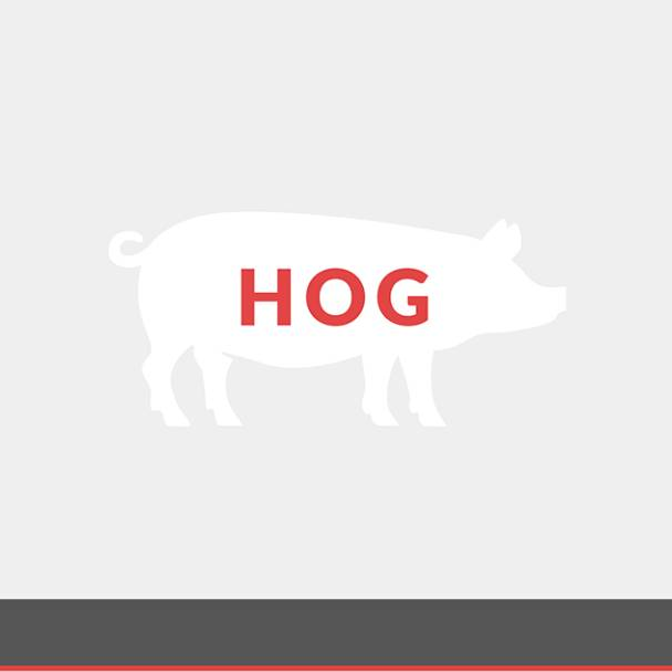 Swine & Hog Services