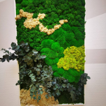 Tableau végétal stabilisé