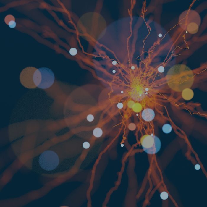 Catalytic Capital in Asia