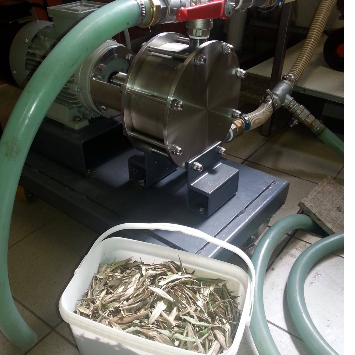 Intensive Low Carbon Biomass Processing