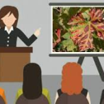 7 FORMATIONS offertes par Manugypse / Rockfon