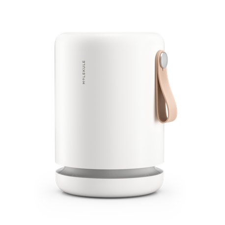 Molekule Air Mini+