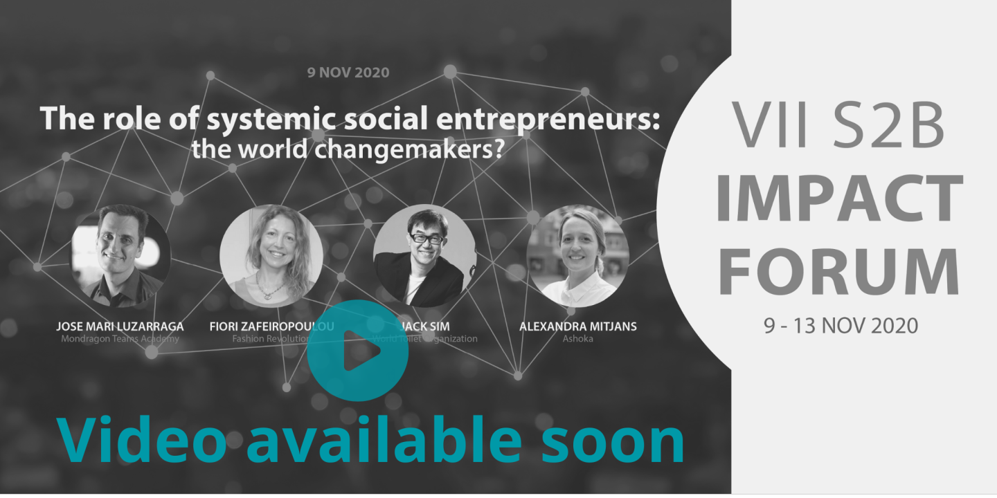 The Role of Systemic Social Entrepreneurs: The World Changemakers?