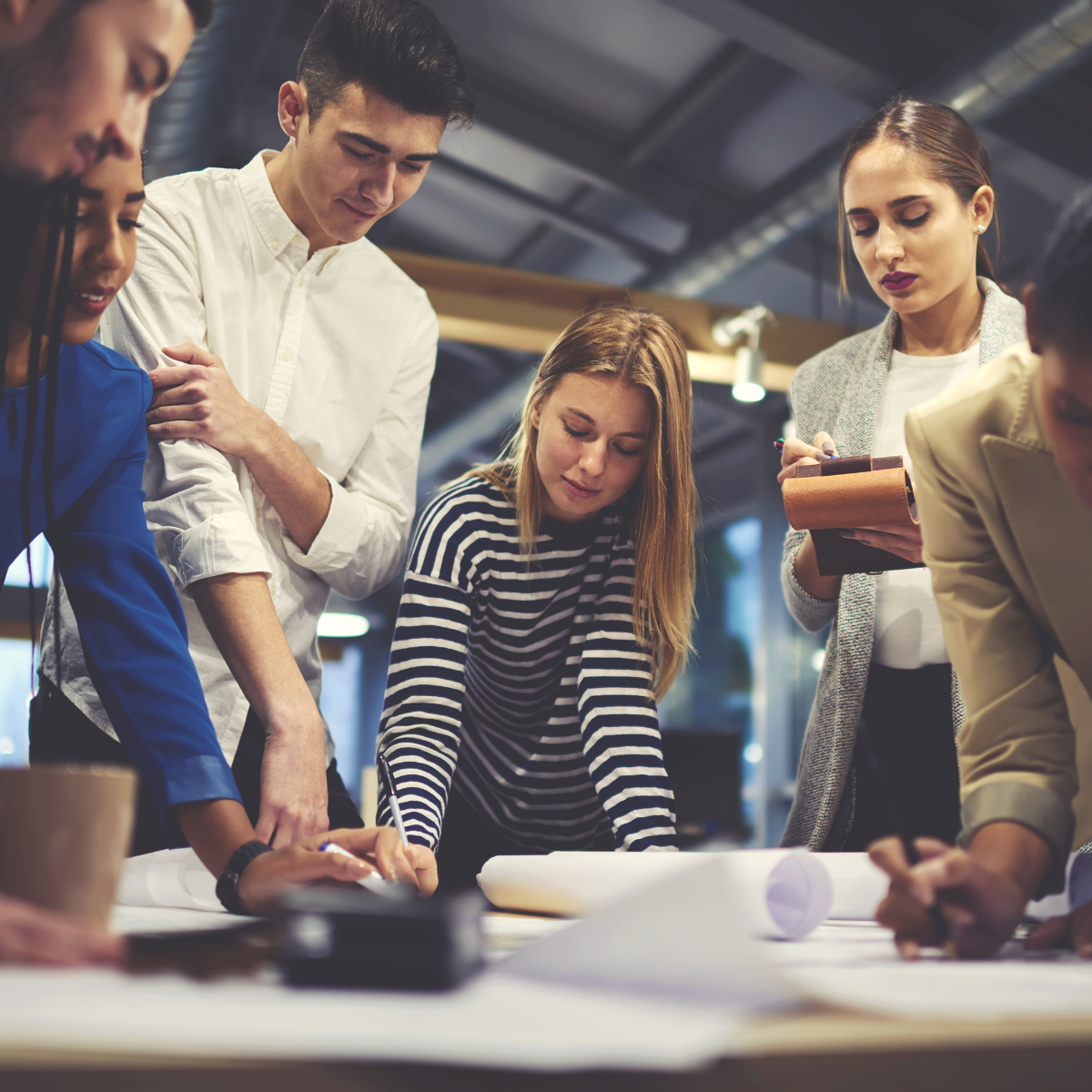 Senior Quality Consultant