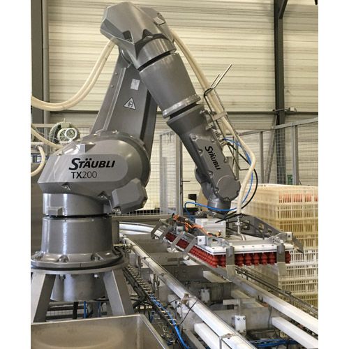 Transfert des oeufs robotisé