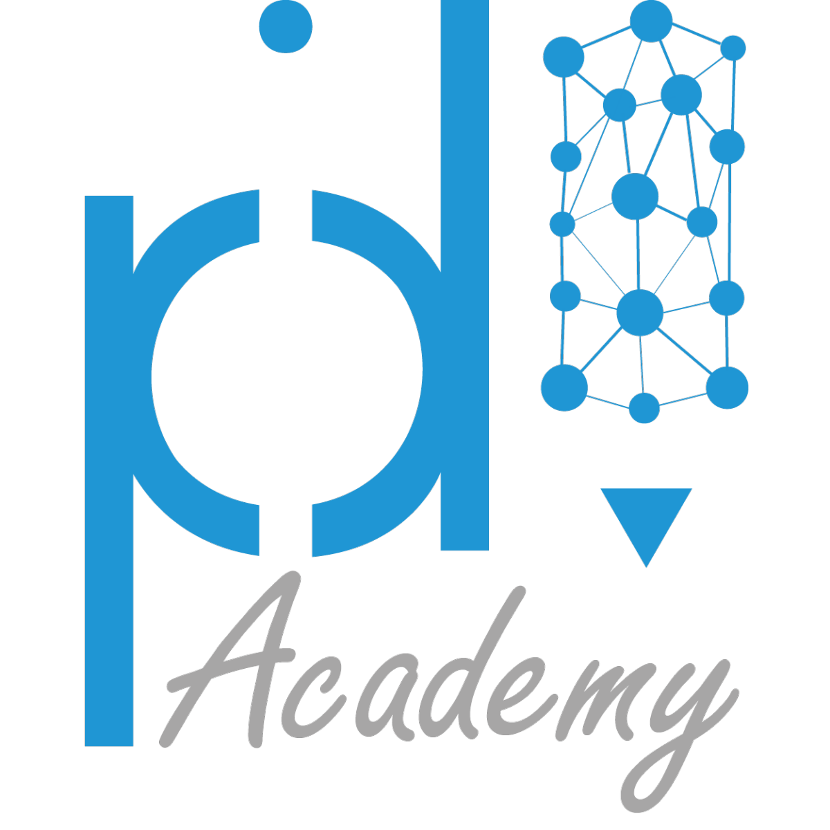 PID ACADEMY