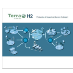 Development of Renewable Energy Projects that generate biogenic H2, green H2, or e-Fuels from sustainable biomass with co-production of premium fertilizers and bio-CO2 capture and utilization (bio-CCU) to fulfil the circular economy.