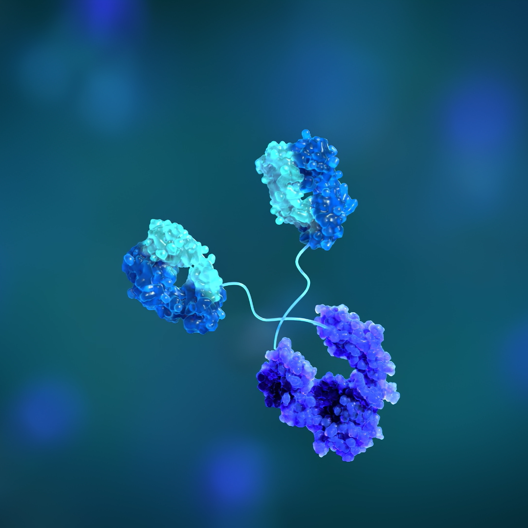 Pioneer Antibody Discovery Platform
