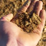 Les Gneiss Rouge 2021