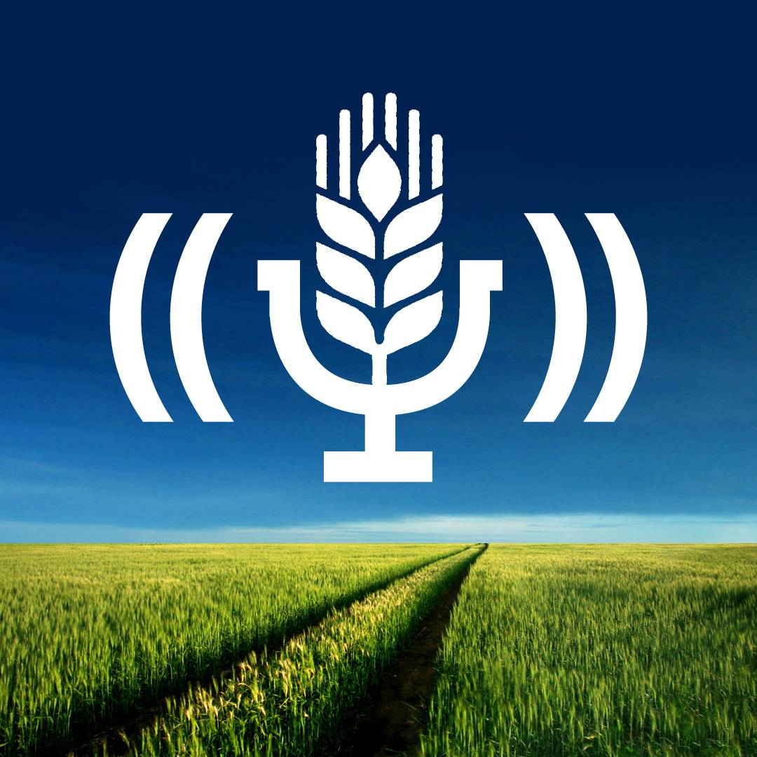 Get in on the conversation | Between the Rows