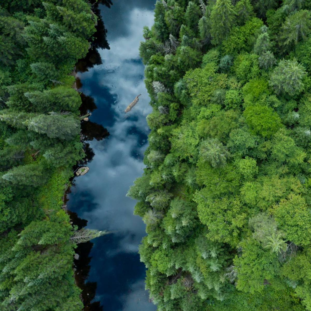 BMO Global Asset Management