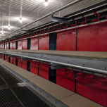 Cage Free Poultry Housing and Egg handling by Vencomatic