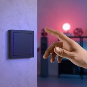 Busch-Trevion®-keypad