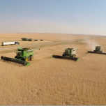 Growing Projects and Community Events