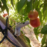 SOLUTIONS CONNECTÉES INNOVANTES