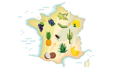 Dédicace de Jérôme Jullien "Adapter son jardin au changement climatique"