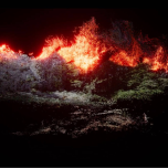 WHAT IS LEFT OF REALITY