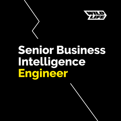 Senior Business Intelligence Engineer
