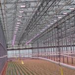 Eclairage jeunes plants et semences