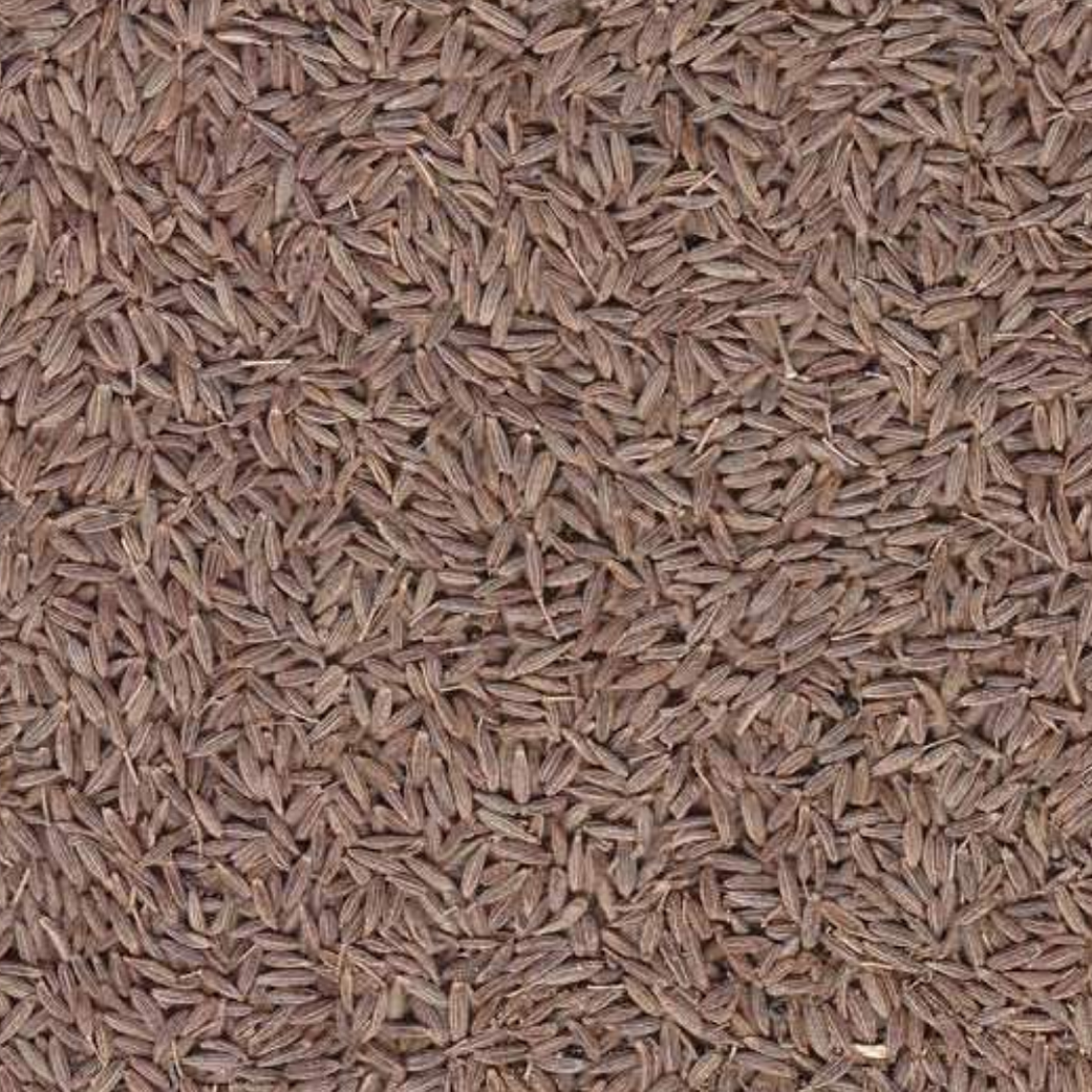 Cumin