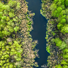 Sustainability is the new normal