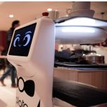 Plato, first serving cobiot