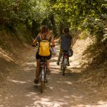 Bike/e-bike tour in the Appia Antica Park