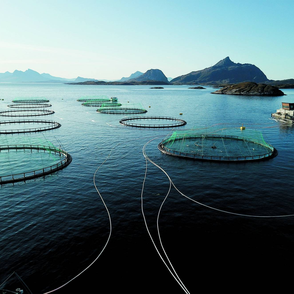 Fish Farm - Off Grid