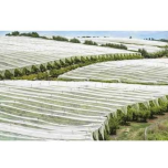 PP Spunbond Nonwoven Fabric