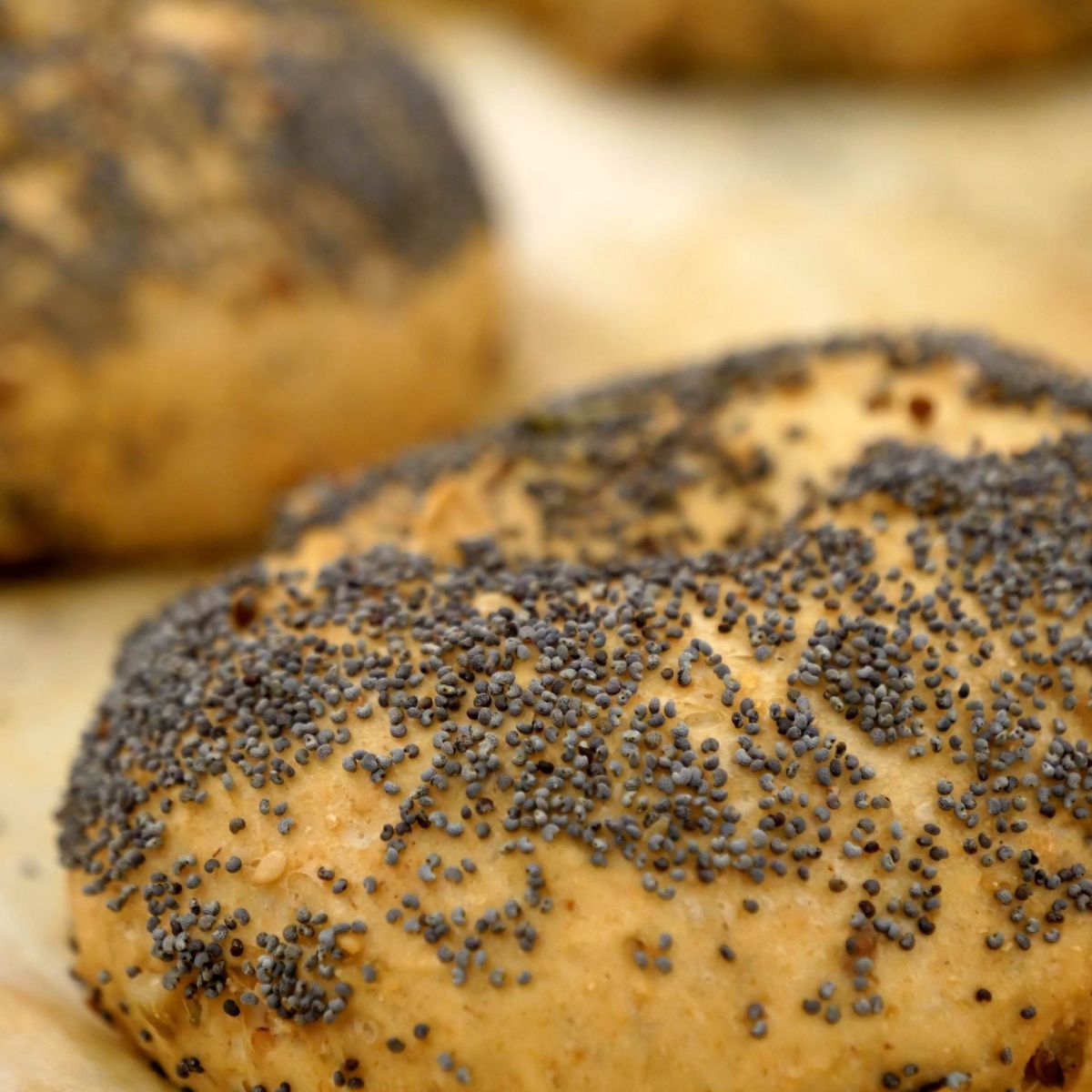 Lieviti per Panificazione